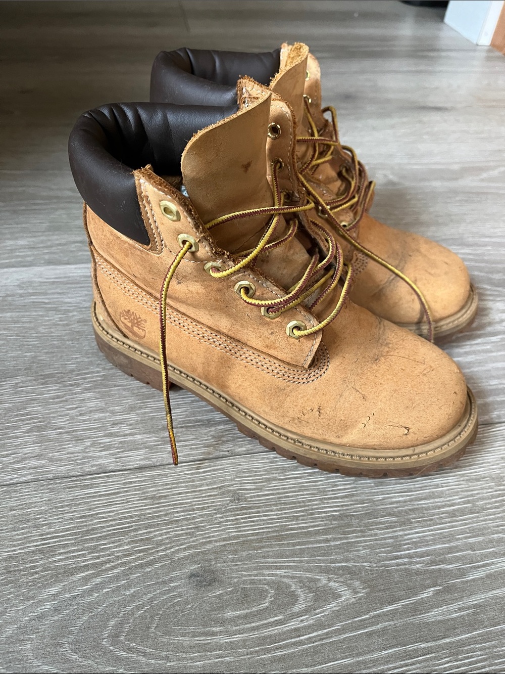 Timberland Wheat and Dark Brown Padded Collar Boots